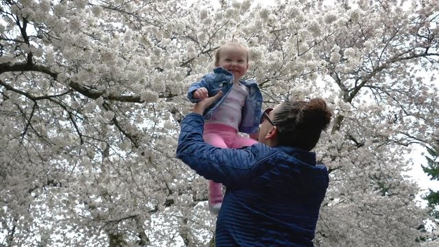 Mom Holding Baby Up Spinning Under Cherry Blossom Tree