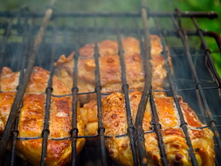 Barbecue for the poor. Departure on the nature of kebabs. Roasted meat on the fire. Meat on the fire.