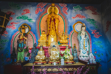 Obraz premium Honk Kong, November 2018 - Ten Thousand Buddhas Monastery (Man Fat Sze) 