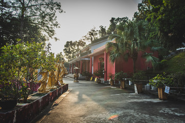 Honk Kong, November 2018 - Ten Thousand Buddhas Monastery (Man Fat Sze) 