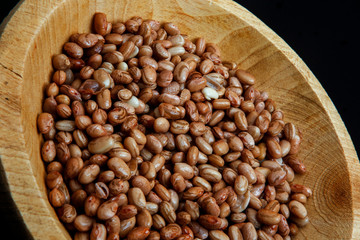Carioca Beans into a bowl. Agriculture, seed.
