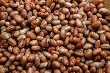 Carioca Beans into a bowl. Agriculture, seed.