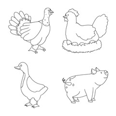 Isolated object of homemade and countryside sign. Set of homemade and agriculture vector icon for stock.