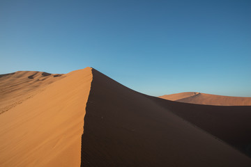Fototapeta na wymiar Dunes and Trees at Sossusvlei National Park, Namibia 