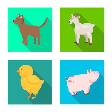 Vector design of breeding and kitchen  icon. Set of breeding and organic  stock symbol for web.