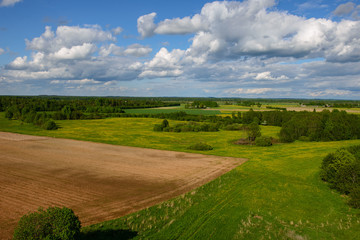 Fototapeta premium green cultivated fields in countryside