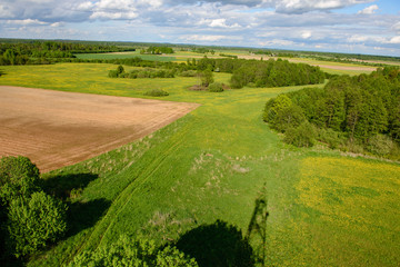 Naklejka premium green cultivated fields in countryside
