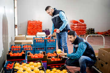 Fresh vegetables and fruit in warehouse