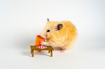 Cute hamster eating carrot on white background