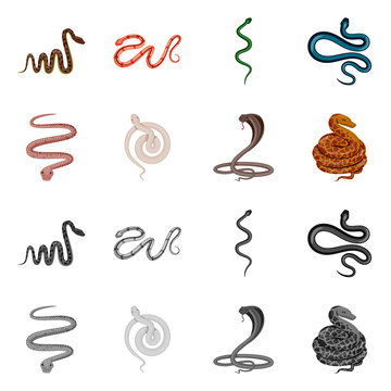 Vector design of mammal and danger logo. Collection of mammal and medicine vector icon for stock.