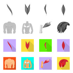 Isolated object of fiber and muscular logo. Set of fiber and body  stock vector illustration.