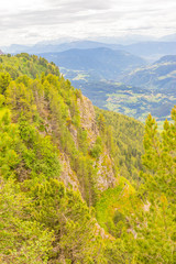 Obraz premium Alpe di Siusi, Seiser Alm with Sassolungo Langkofel Dolomite, a tree with a mountain in the background
