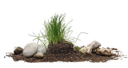 Green grass with dirt isolated on white background and texture