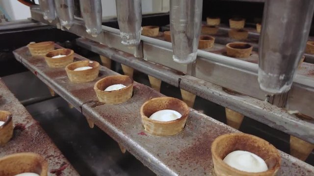 Milk Canning Plant. Manufacturing of Glazed Sweet Curd Bars and Wafer Cones