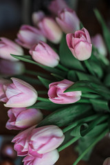 Fototapeta premium A bouquet of spring beautiful flowers. Fresh Pink tulips.