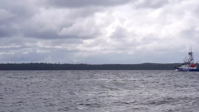 Local fish boat coming in