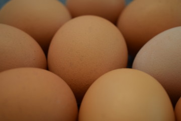 Yellow big chicken eggs close up