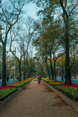 Hall full of flowers 