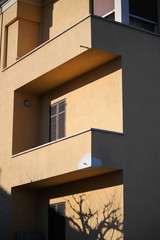 edifici urbani in centro cittadino 