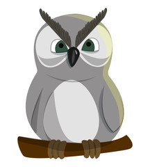 White owl on a branch.