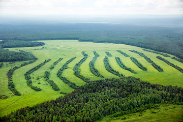 Fototapeta premium Top view of the forest and fields. Northern landscape. Endless forests