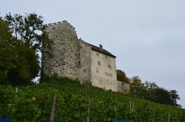 Fototapeta na wymiar Schweizer Burg