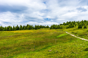 Alpe di Siusi, Seiser Alm with Sassolungo Langkofel Dolomite, a close up of a lush green field