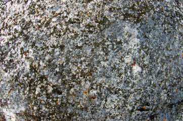 stone texture with moss background