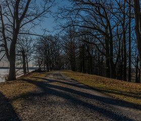 Path with leaf trees near Rozmberk pond in winter sunny day