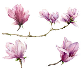 Watercolor branch and magnolia set. Hand painted flowers isolated on white background. Floral elegant illustration for design, print.