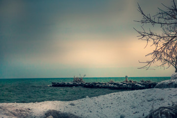 Mississauga, Canada, February 14, 2019: winter idyll of frozen trees and shores of Lake Ontario near Toronto, Canada