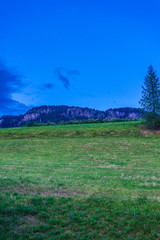 Alpe di Siusi, Seiser Alm with Sassolungo Langkofel Dolomite, a large green field with trees in the background