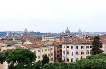 Fototapeta na wymiar view of Rome, roofs, buildings, pine trees on cloudy day
