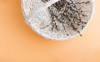 Obraz premium Willow in white whicker basket on pink pastel background