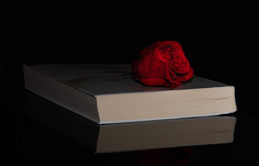 Book. Rose. Closed. Side. Light. Reflection. Black