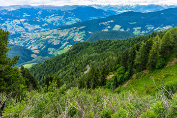 Fototapeta na wymiar Alpe di Siusi, Seiser Alm with Sassolungo Langkofel Dolomite, a view of a lush green hillside