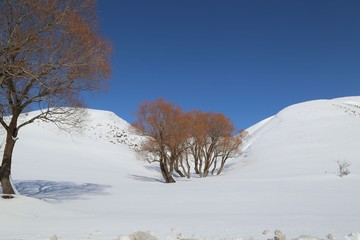 fabulous winter photos .Bingol Turkey