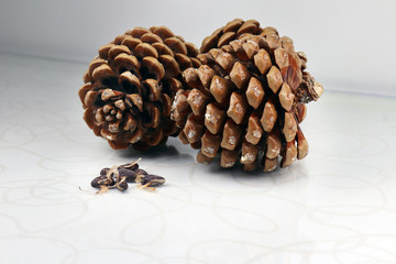 Pine nuts in front of its cone.