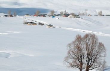 fabulous winter photos .Bingol Turkey