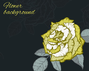 Vintage rose. Hand drawn vector illustration background.