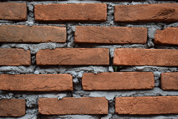 Brick wall Texture Background