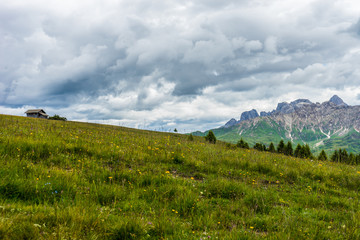 Alpe di Siusi, Seiser Alm with Sassolungo Langkofel Dolomite, a group of clouds on a grassy hill