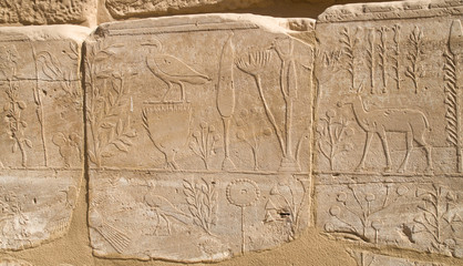 Wall with carved pictorial catalog of the exotic animals and plants  from Asia in the Temple of Karnak, Luxor