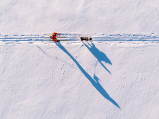 Cross-country skiing on track with dog malamute. Concept winter holiday. Aerial top view