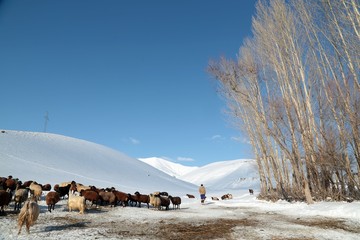 fabulous winter photos .Bingol Turkey