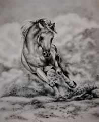 A white horse running