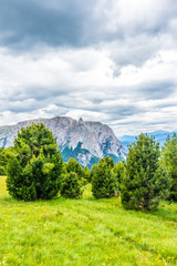 Obraz premium Alpe di Siusi, Seiser Alm with Sassolungo Langkofel Dolomite, a large green field with trees in the background