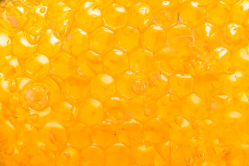 honey in honeycomb close-up background