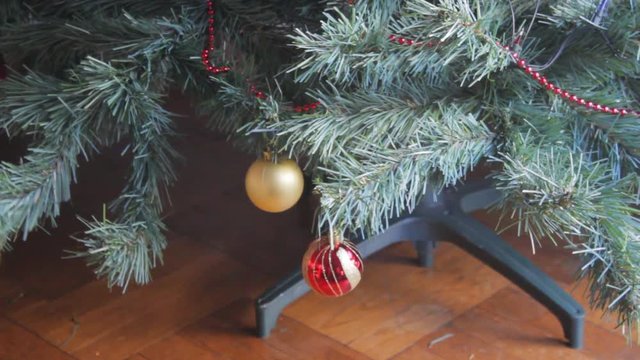 Guy placing ornaments in the bottom parto of a Christmas tree