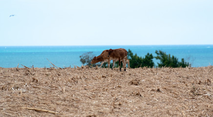 Ensemble...mais trop loin